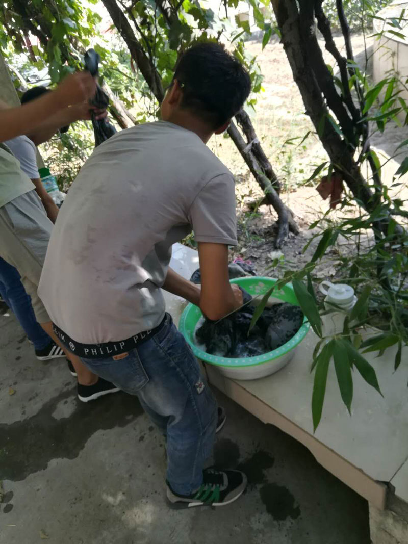 yl6809永利官网老师教学生洗衣服